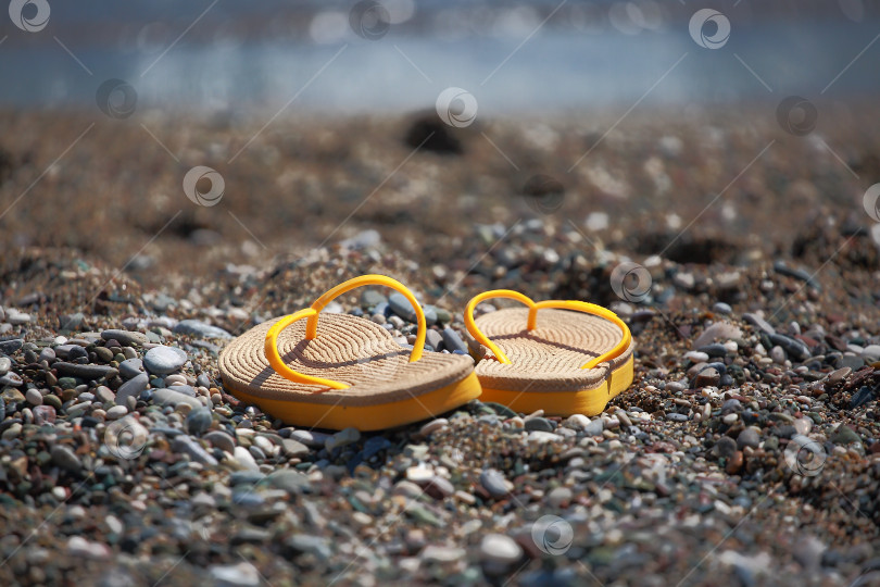Скачать Желтые шлёпки у моря, крупный план фотосток Ozero