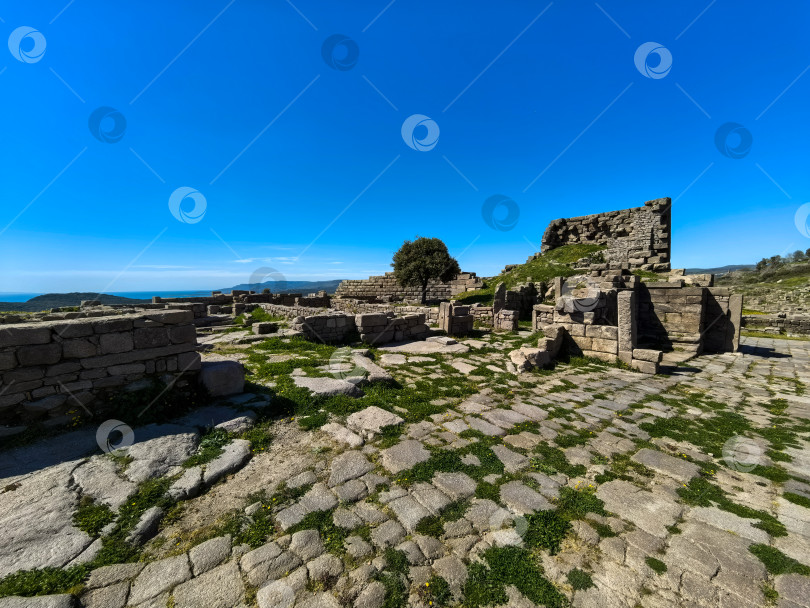 Скачать Древние руины Ассоса и храма Афины в Турции фотосток Ozero