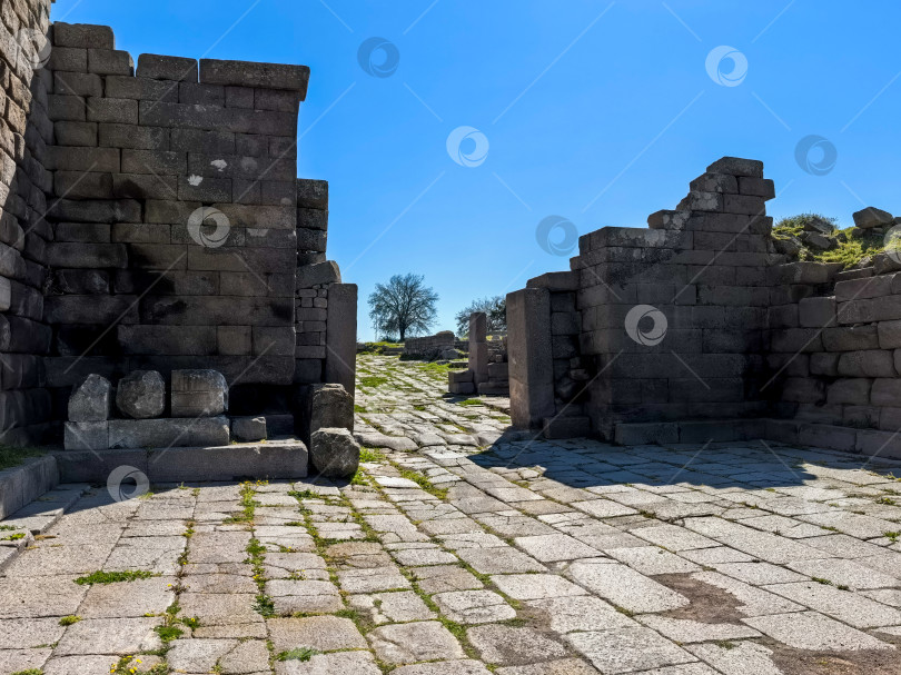 Скачать Древние руины Ассоса и храма Афины в Турции фотосток Ozero