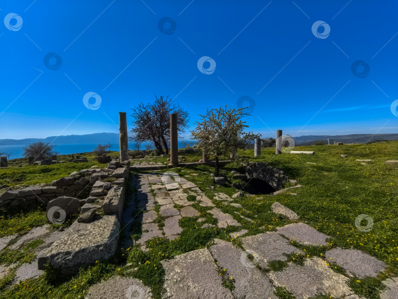Скачать Древние руины Ассоса и храма Афины в Турции фотосток Ozero