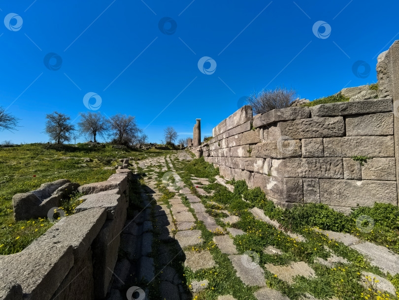 Скачать Древние руины Ассоса и храма Афины в Турции фотосток Ozero