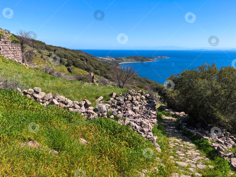 Скачать Древние руины Ассоса и храма Афины в Турции фотосток Ozero