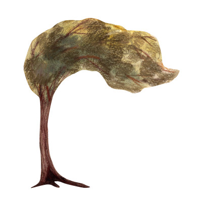 [object Object] undefined