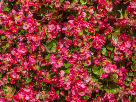 [object Object] undefined