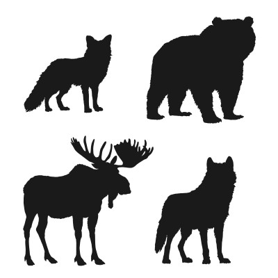[object Object] undefined
