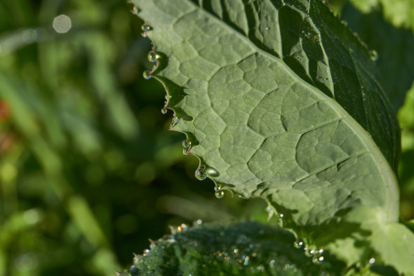 [object Object] undefined