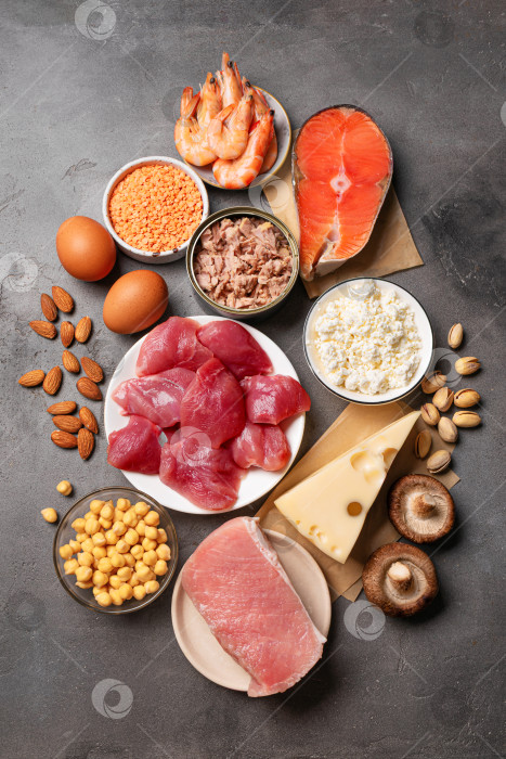 Скачать Выбор продуктов с высоким содержанием белка, источники белка фотосток Ozero