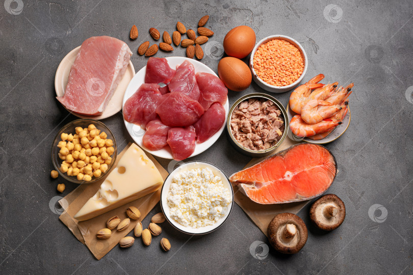 Скачать Выбор продуктов с высоким содержанием белка, источники белка фотосток Ozero