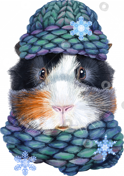 Скачать Акварельный портрет абиссинской морской свинки в вязаной изумрудной шапочке фотосток Ozero