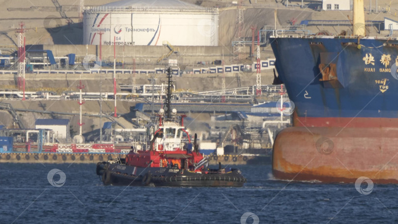 Скачать Новороссийск Россия 28 июня 2026 года Грузовое судно Kuai Bang Hai 16 в сопровождении портовых буксиров в морском торговом порту Новороссийска в солнечный день фотосток Ozero