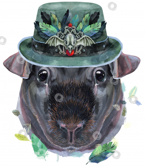 Скачать Акварельный портрет тощей морской свинки в зеленой шляпе на белом фоне фотосток Ozero