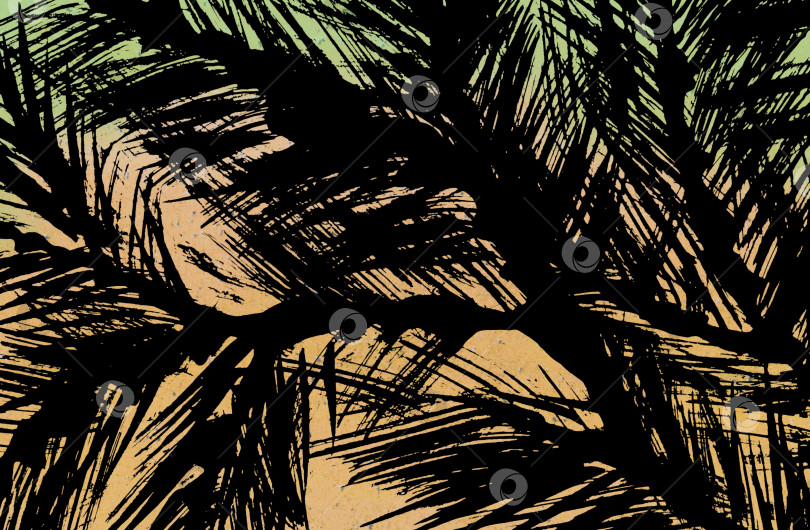 Скачать Фон с силуэтом тропических пальмовых листьев фотосток Ozero