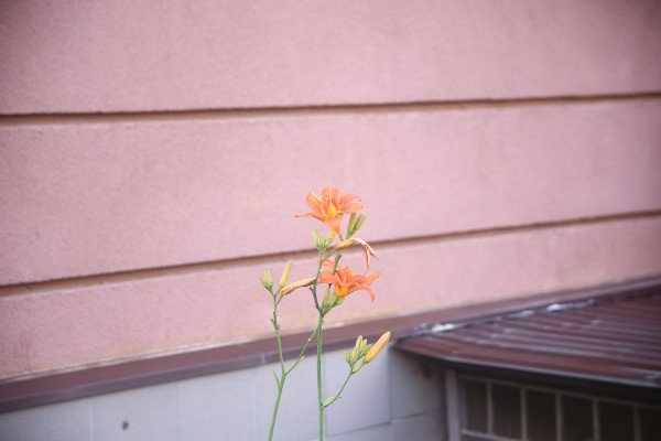[object Object] undefined