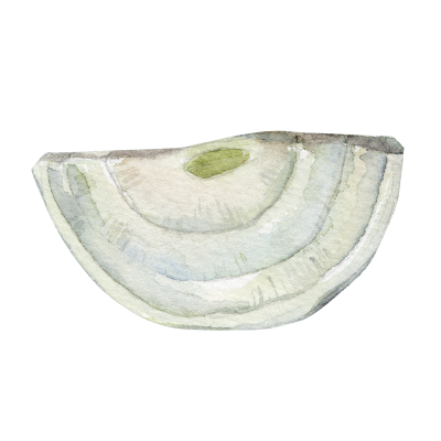 [object Object] undefined
