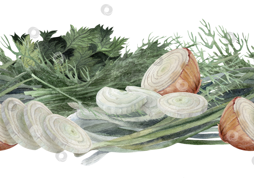 Скачать Бесшовная акварельная кайма с кусочками лука, зеленью, укропом и петрушкой на белом фоне. Ботанический дизайн блюд с возможностью копирования меню, рецепта, упаковки и кухонного декора. фотосток Ozero