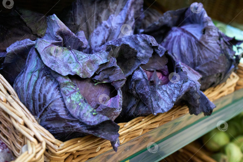 Скачать Красная капуста выставлена на полке продуктового магазина в течение дня для покупки покупателями фотосток Ozero