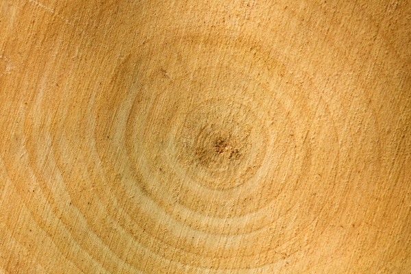 [object Object] undefined