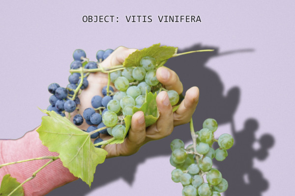 [object Object] undefined