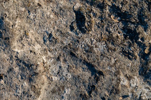 [object Object] undefined