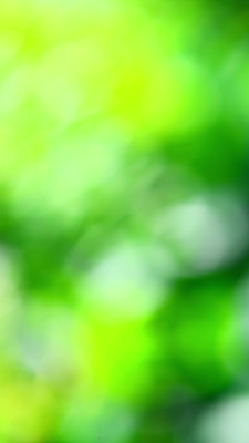 [object Object] undefined