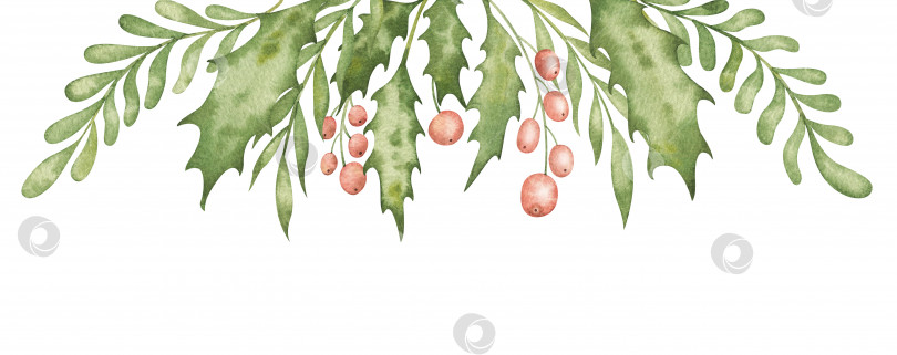 Скачать Композиция на природе с зеленью, рождественские композиции. Иллюстрация с ягодами, листьями, ветками фотосток Ozero
