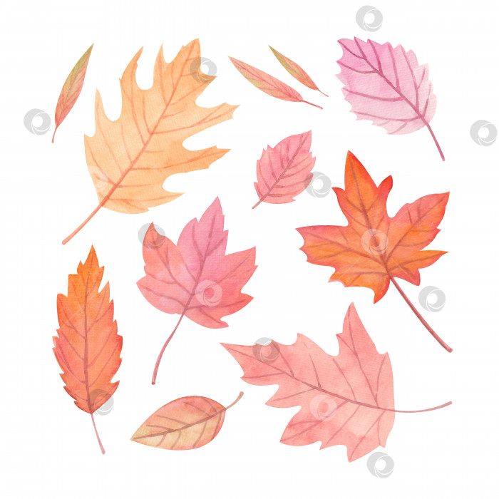 Скачать Набор акварельных иллюстраций с осенними листьями фотосток Ozero