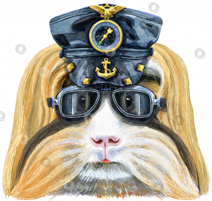 Скачать Акварельный портрет морской свинки Шелти в кожаной кепке и байкерских очках на белом фоне фотосток Ozero