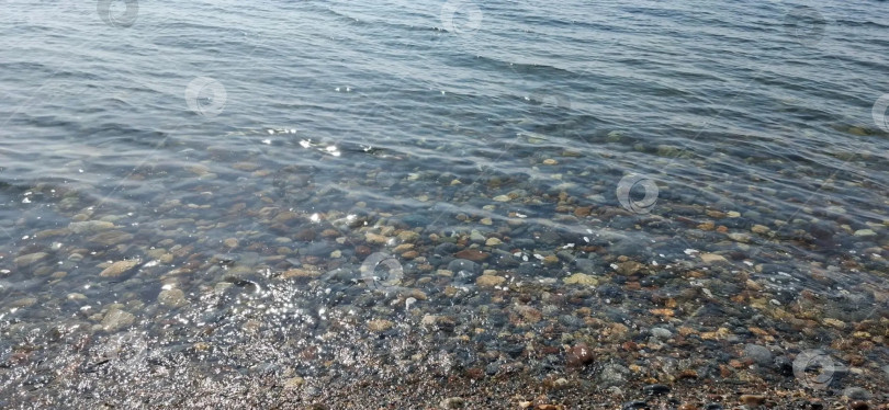 Скачать Тишина воды фотосток Ozero