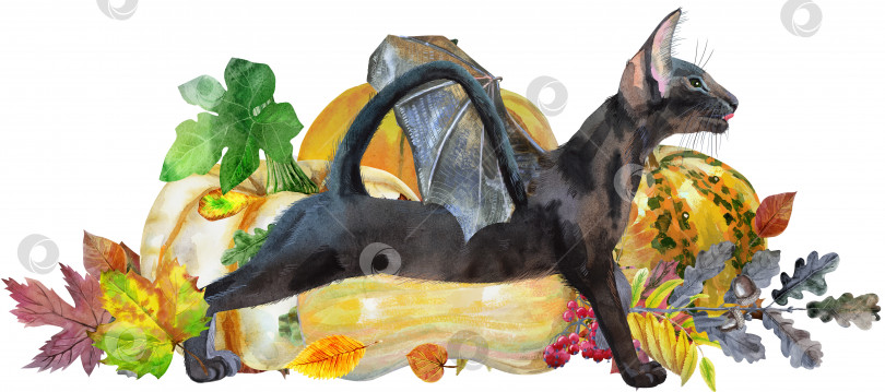 Скачать Черный кот с крыльями летучей мыши с тыквой и осенними листьями фотосток Ozero