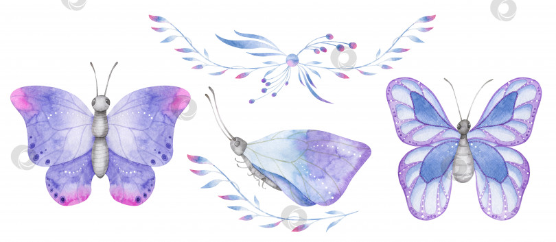 Скачать Акварельный набор с синими и фиолетовыми бабочками, цветочной композицией и веткой фотосток Ozero