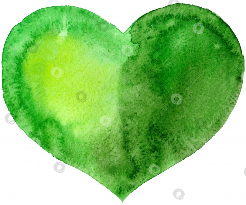 Скачать акварельное зеленое сердечко фотосток Ozero