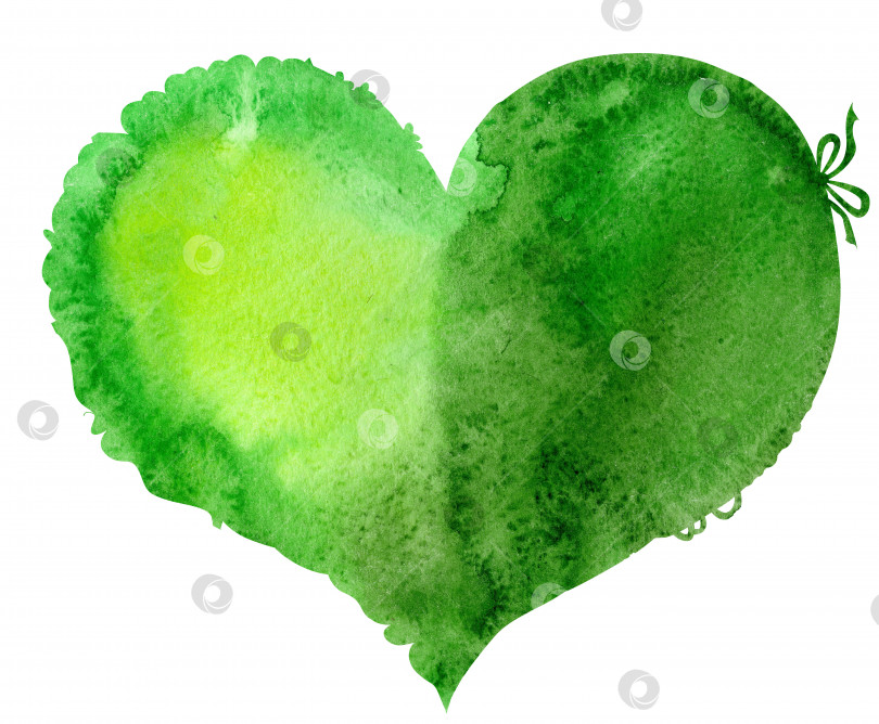 Скачать акварельно-зеленое сердечко с кружевной каймой фотосток Ozero