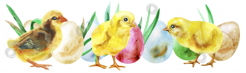 Скачать Акварельные пасхальные крашеные яйца, цыплята и трава фотосток Ozero