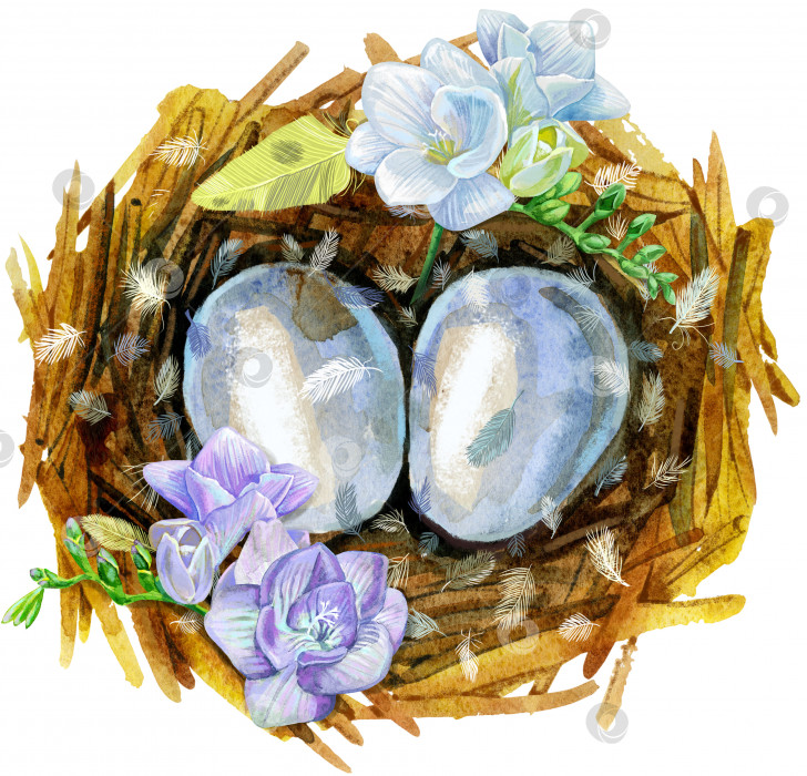Скачать Нарисованное вручную акварелью птичье гнездо с яйцами и цветами, пасхальный дизайн. фотосток Ozero