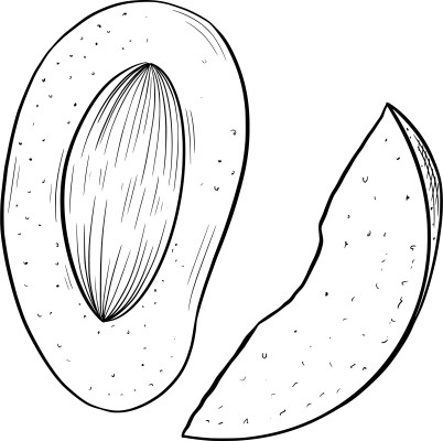 [object Object] undefined