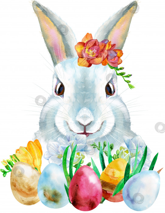 Скачать Акварельная иллюстрация белого кролика с пасхальными яйцами фотосток Ozero