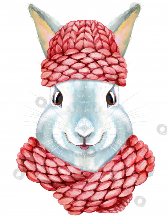 Скачать Акварельная иллюстрация белого кролика в вязаной розовой шапочке и шарфе фотосток Ozero