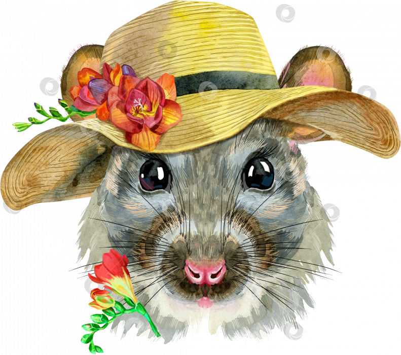 Скачать Акварельный портрет крысы в широкополой летней шляпе фотосток Ozero