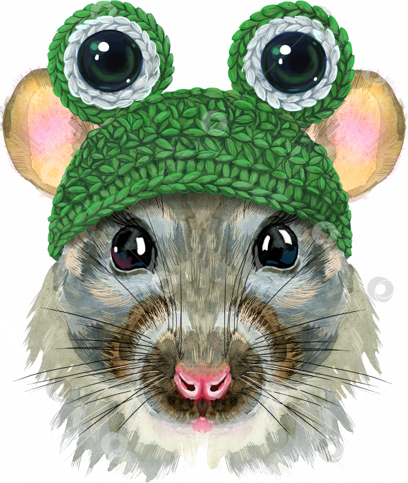 Скачать Акварельный портрет крысы в лягушачьей шляпе с глазами фотосток Ozero