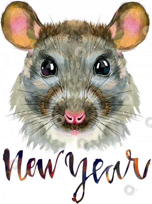 Скачать Акварельный портрет крысы с надписью "Новый год" фотосток Ozero