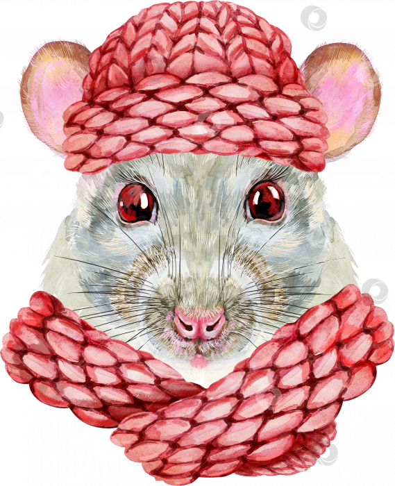 Скачать Акварельный портрет белой крысы в розовой вязаной шапочке фотосток Ozero