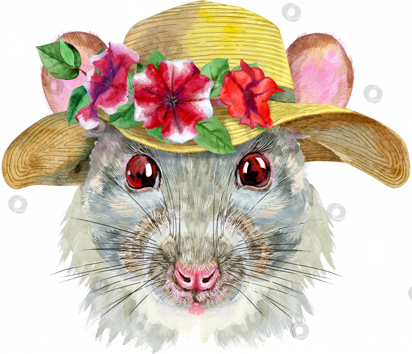Скачать Акварельный портрет белой крысы в летней шляпе с цветами фотосток Ozero