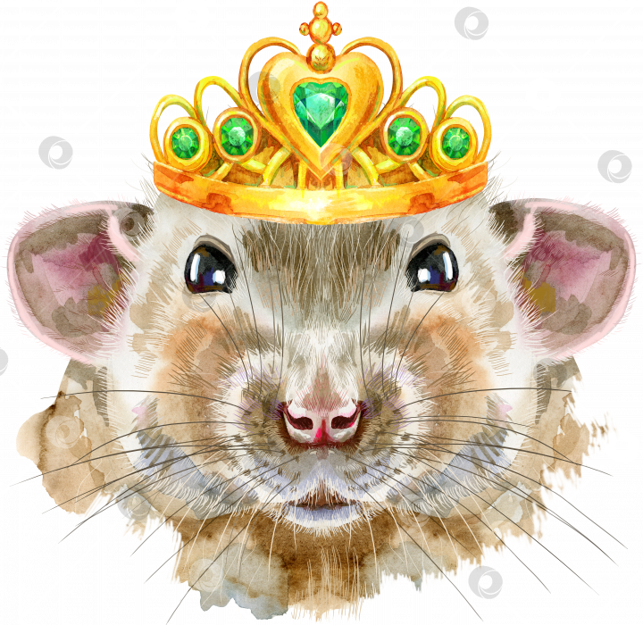 Скачать Акварельный портрет крысы с золотой короной фотосток Ozero