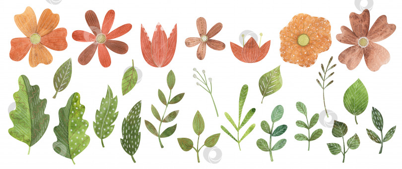 Скачать Акварельный набор с красными и оранжевыми цветами, зелеными ветвями и листьями. Забавный луг с цветочными элементами фотосток Ozero