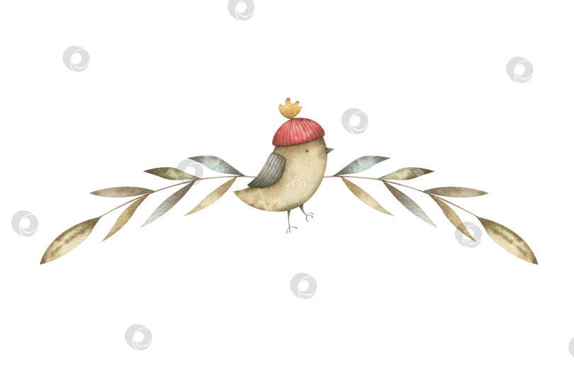 Скачать Акварельная композиция с винтажной зимней птицей и ветками. Симпатичная композиция с праздничной лесной зеленью фотосток Ozero
