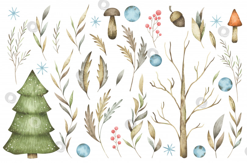 Скачать Акварельный набор с милым зимним лесом. Винтажная рождественская елка, грибы, ягоды, снежок и листва для оформления логотипа, праздничных поздравлений фотосток Ozero