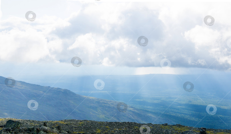 Скачать Горы Северного Урала летом, Россия. фотосток Ozero