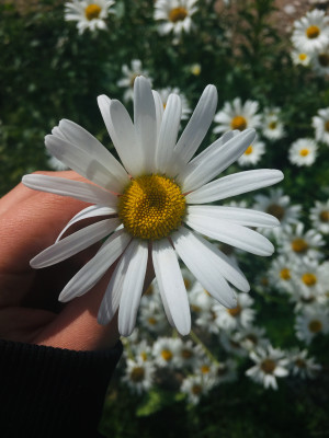 [object Object] undefined