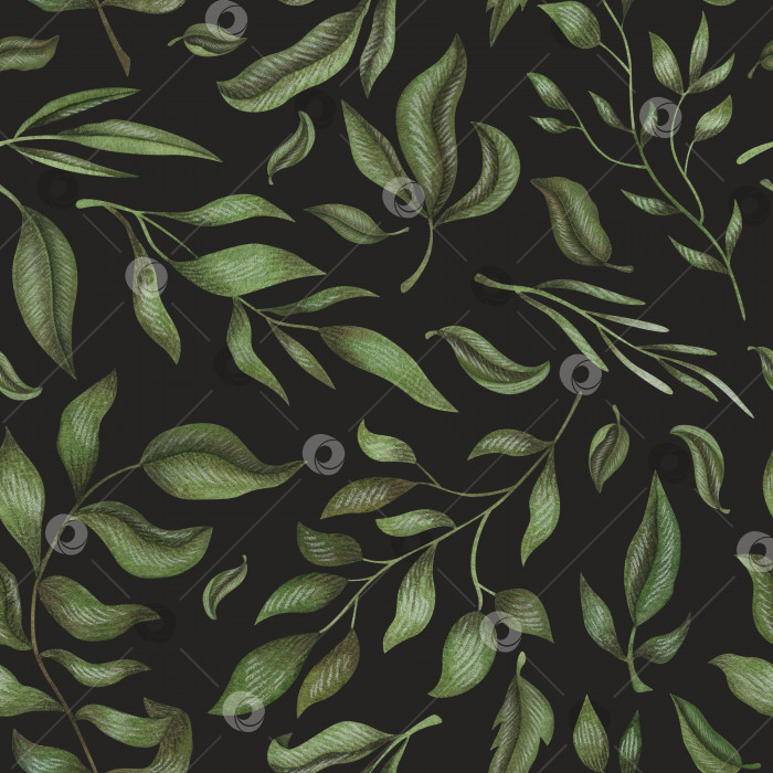 Скачать Акварельный бесшовный узор с винтажными ветвями и листьями на черном фоне для креативного дизайна фотосток Ozero