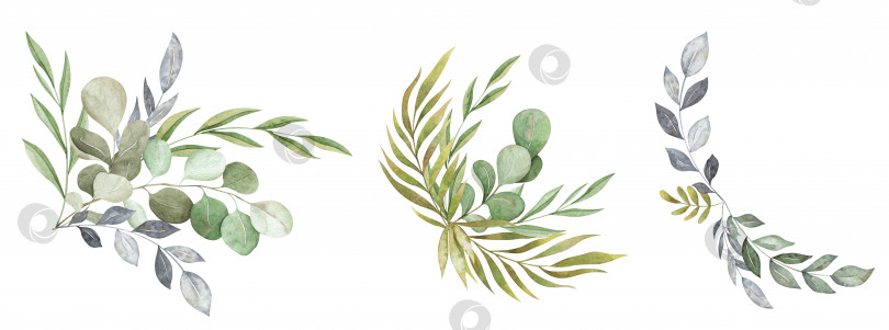 Скачать Акварельные композиции с нежными листьями и ветками. Синие и зеленые ретро-букеты фотосток Ozero
